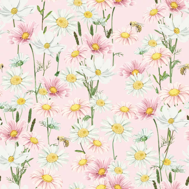 Cosmea Blumenwiese pastel pink