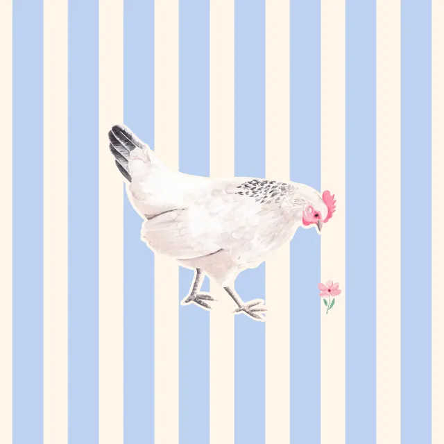 Huhn gestreift blau