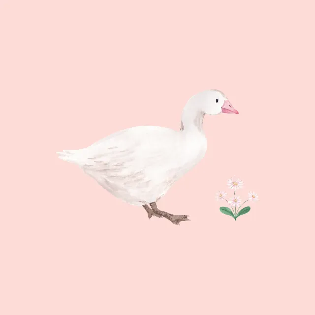 Kissen Süße Gans ogee rosa