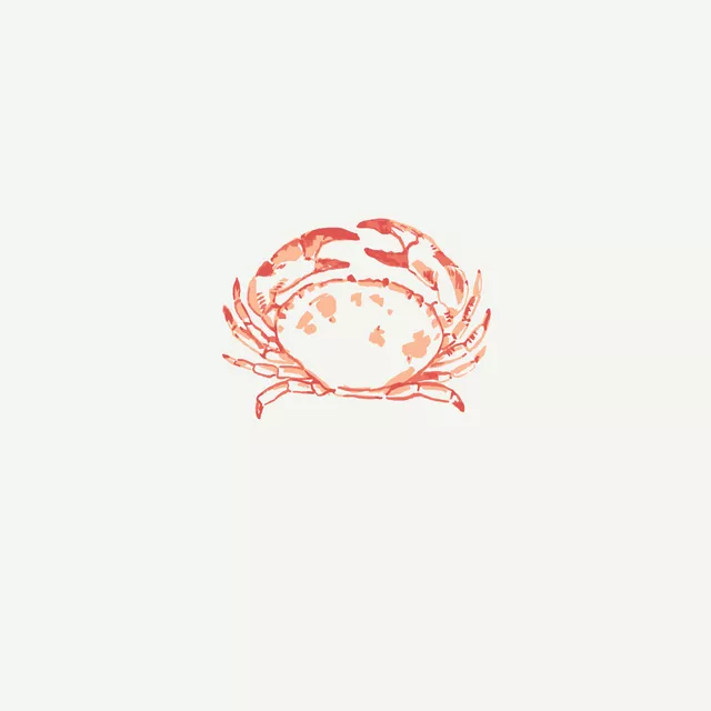 Tischset Crustacean coral