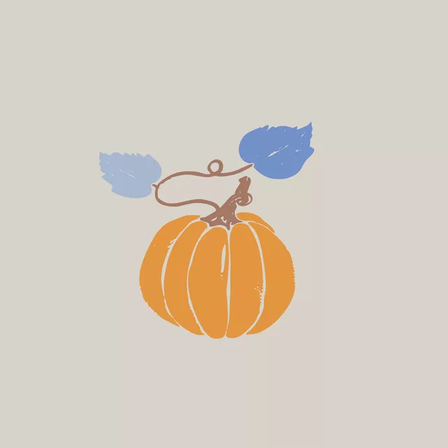 Kissen Herbst Kürbis orange