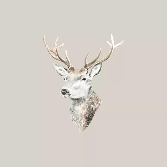 Kissen Aquarell Hirschkopf beige