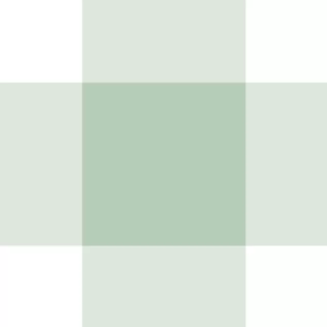 Vichy Gingham Karo grün