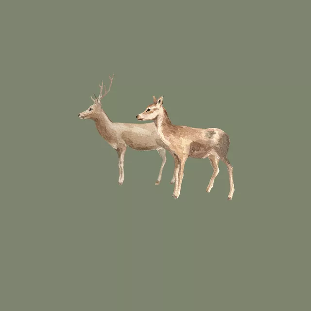 Rehe oilgreen