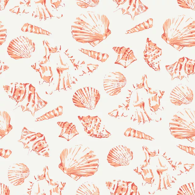 Seashells coral
