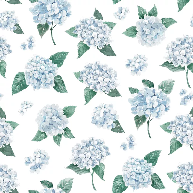 Blaue Hortensien weiß