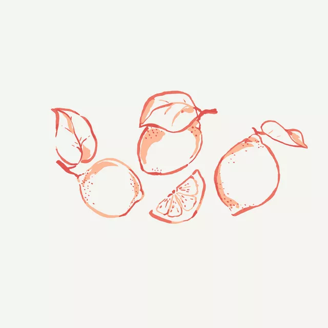 Kissen Limones coral