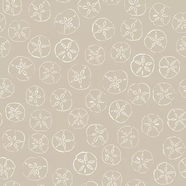 Sanddollar sand