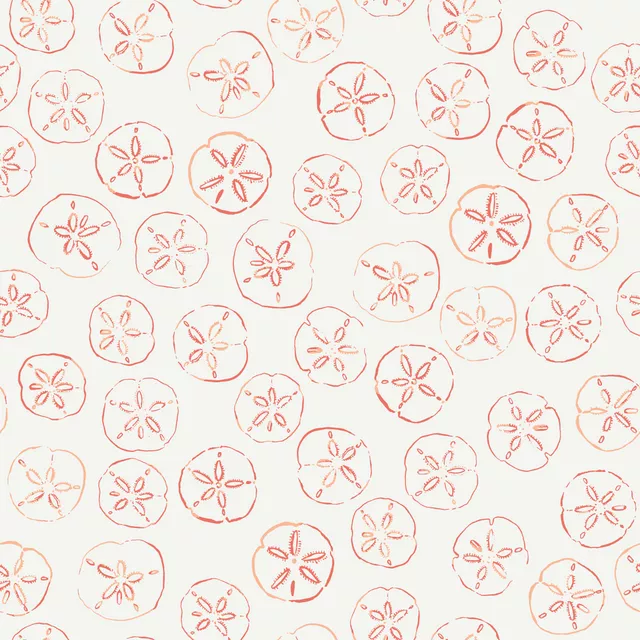 Sanddollar coral