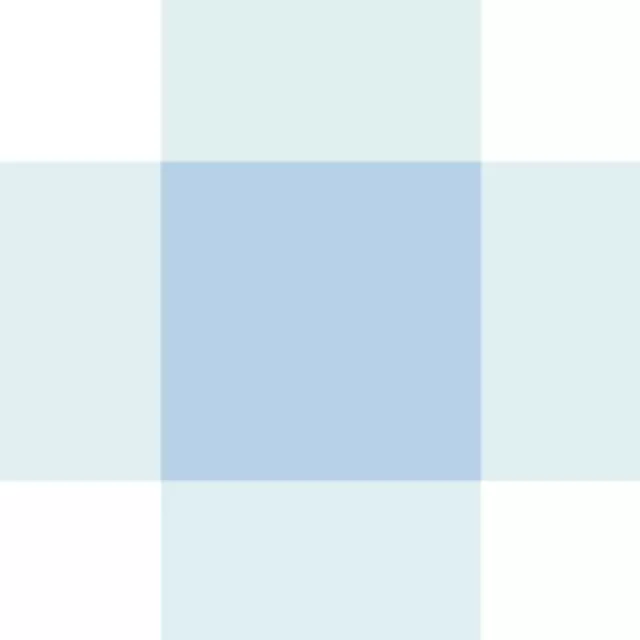 Vichy Gingham Karo hellblau