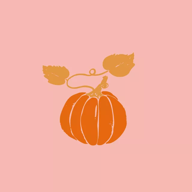 Herbst Kürbis rosa