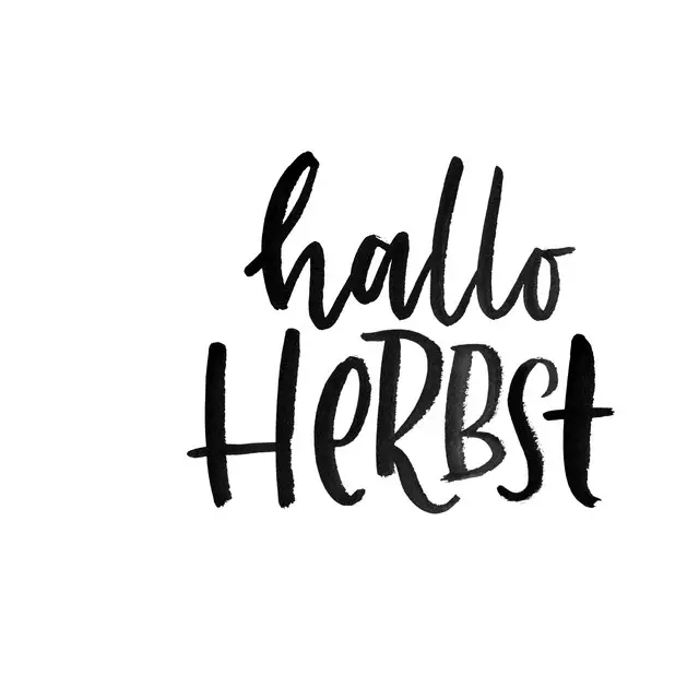 Kissen Hallo Herbst sw