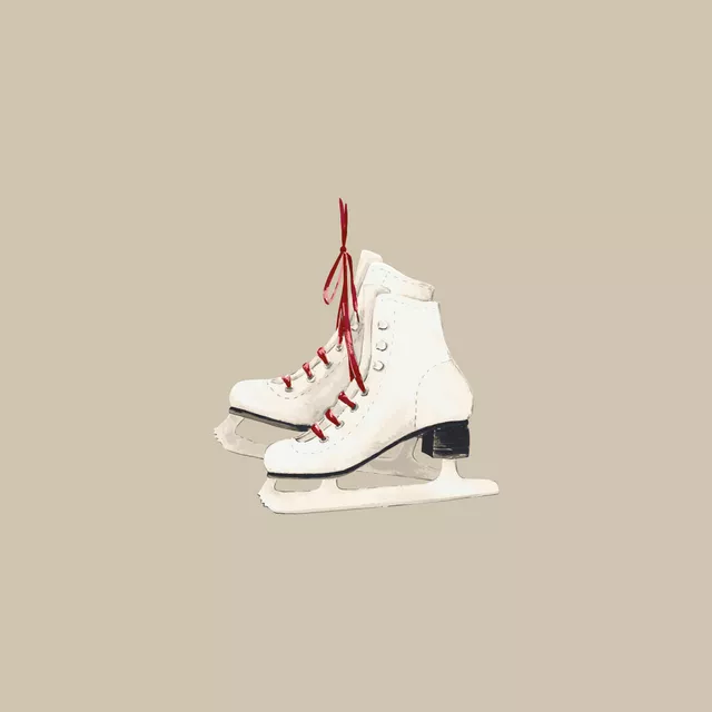 Schlittschuhe fog