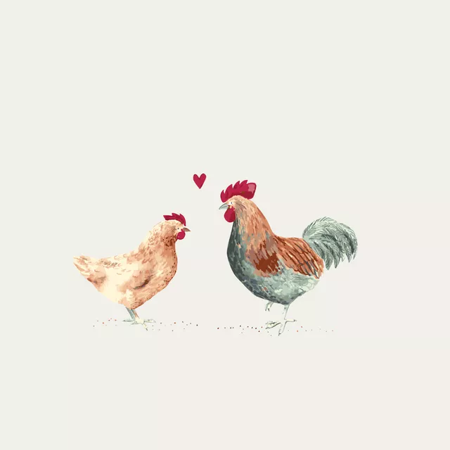 Geschirrtücher Chicken Love