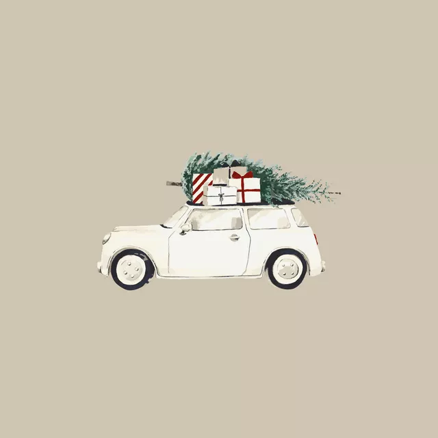 Weihnachtsauto fog