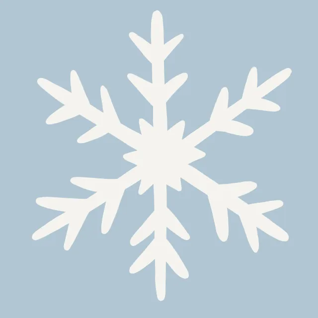 Kissen Große Schneeflocke