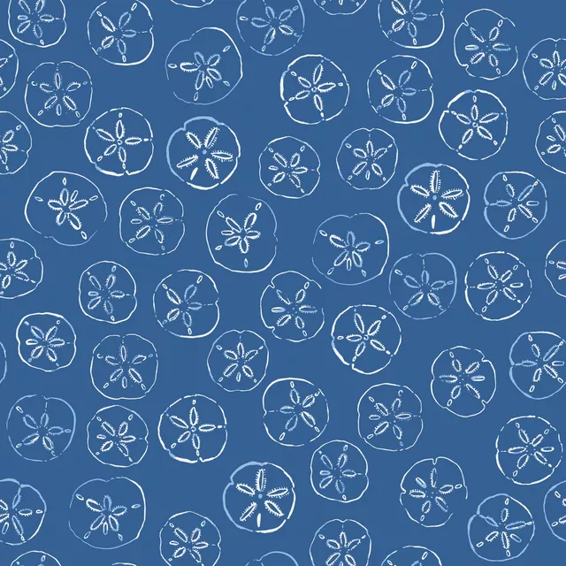 Sanddollar blau