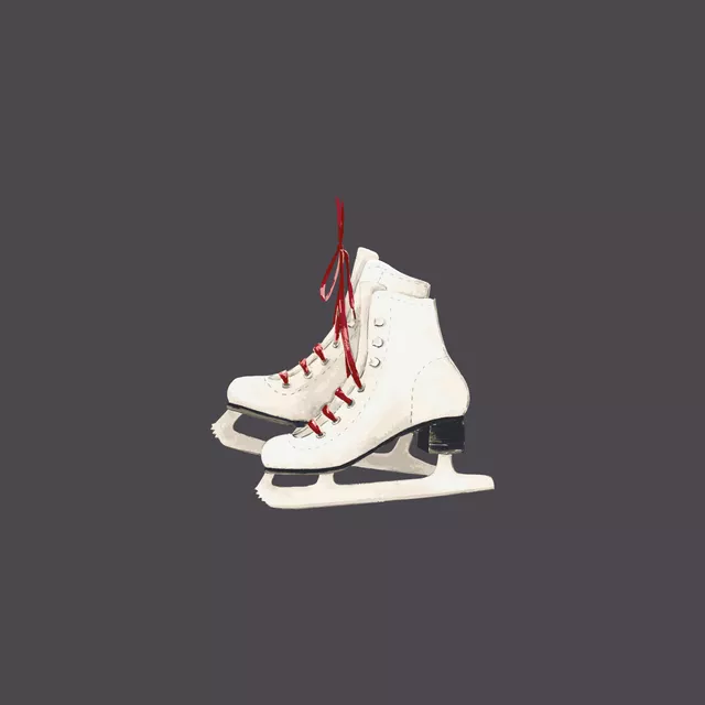 Schlittschuhe grau