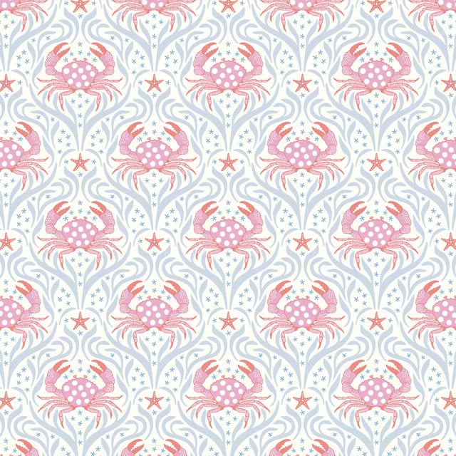 Kissen crabs and starfish