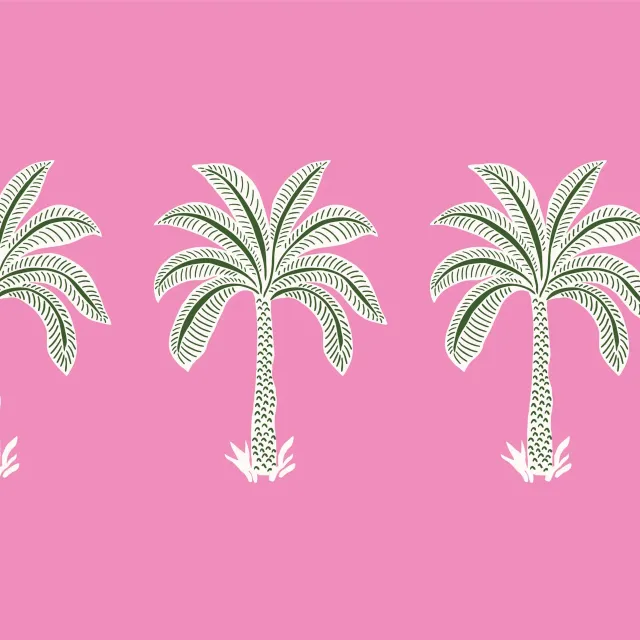 tropical palm