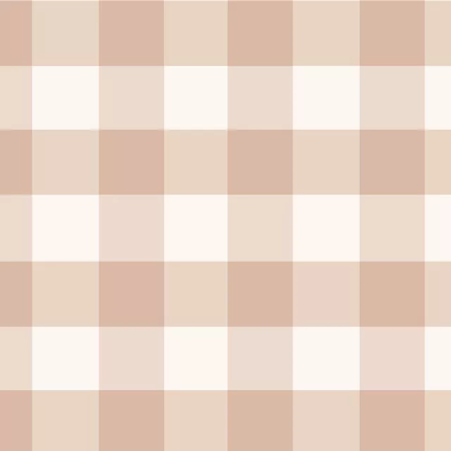 Sitzkissen Classic Gingham