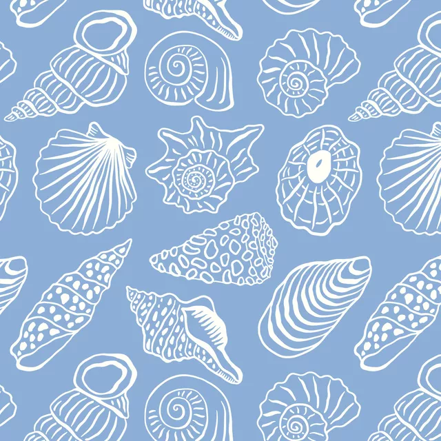 Kissen hand sketched seashells