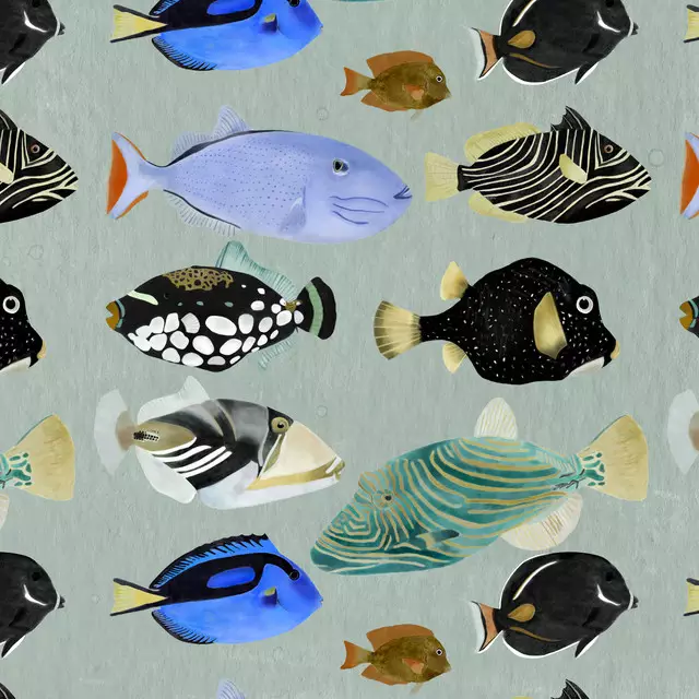 Dekovorhang Fish