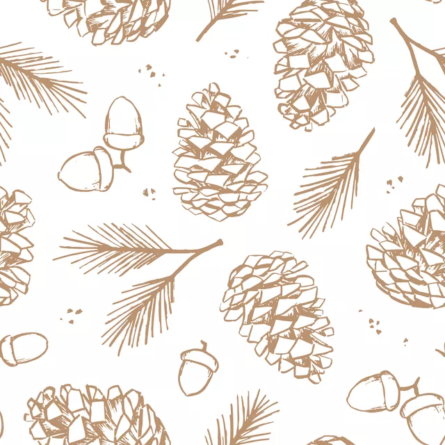 Bankauflage Pinecones and acorns
