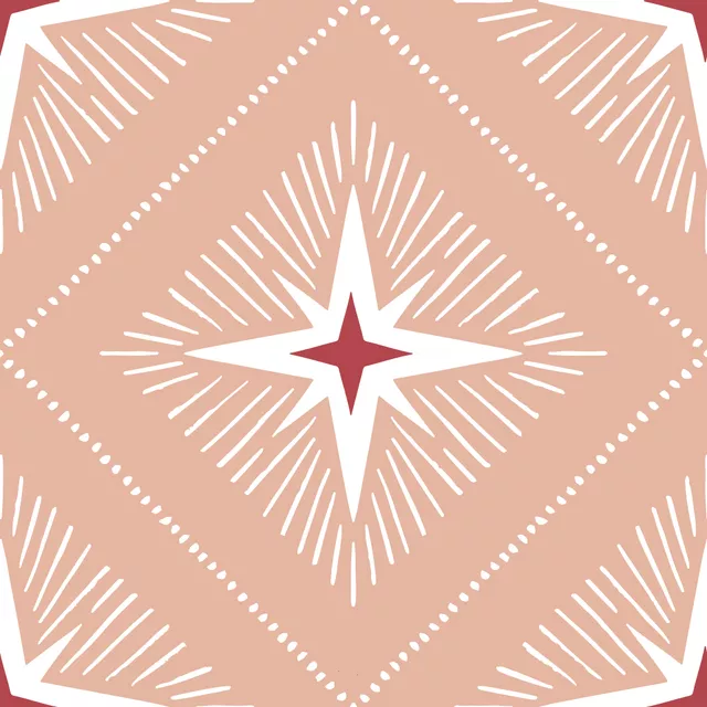 Geschirrtücher Stars