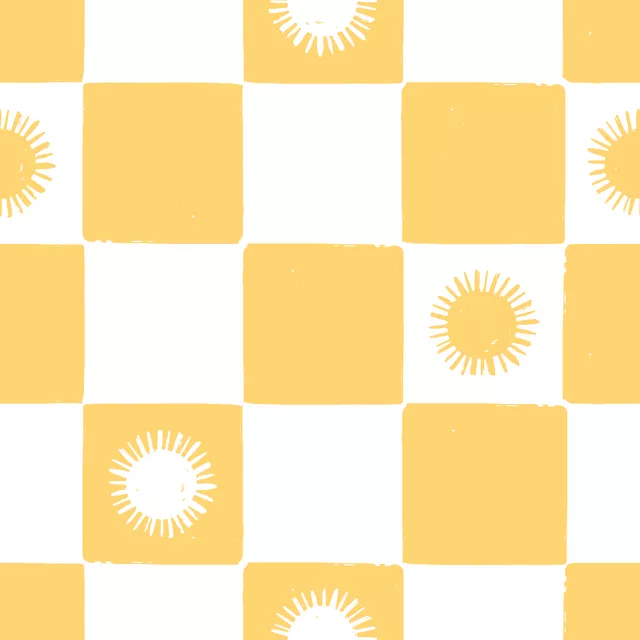 Kissen Sunshine Check