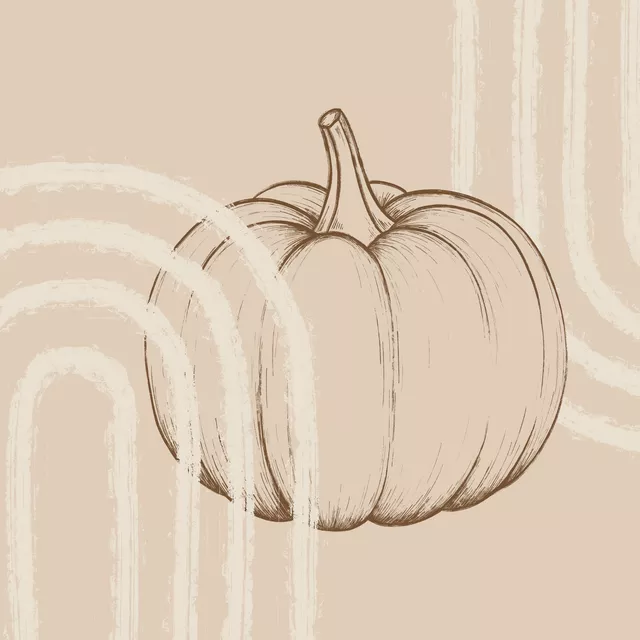 Geschirrtücher Pumpkin
