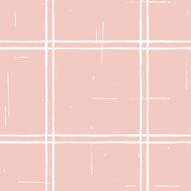 Kissen Cottagecore Check Blush
