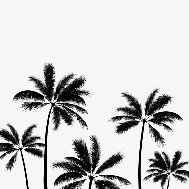Geschirrtücher Summer Palmtrees black