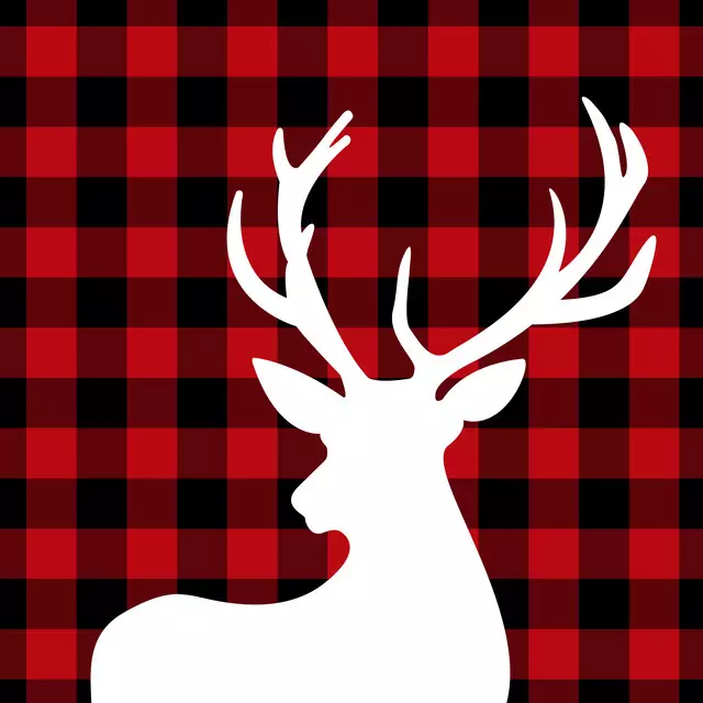 Servietten Christmas Deer Red Checked