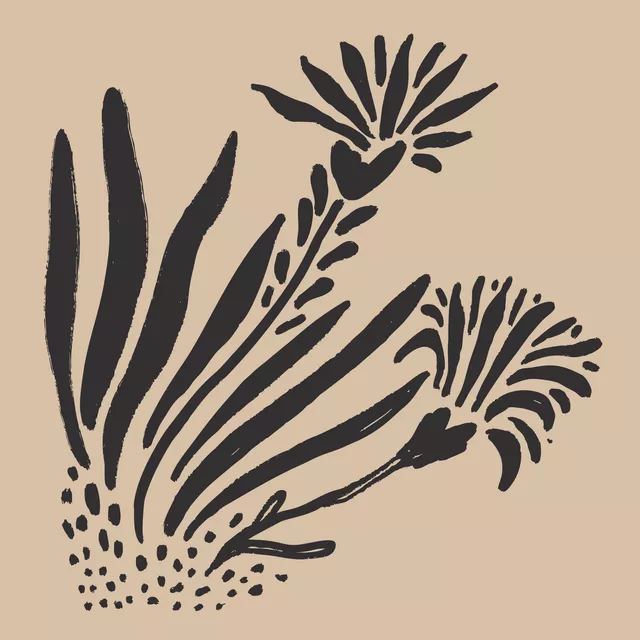 Geschirrtücher Beige Black Floral