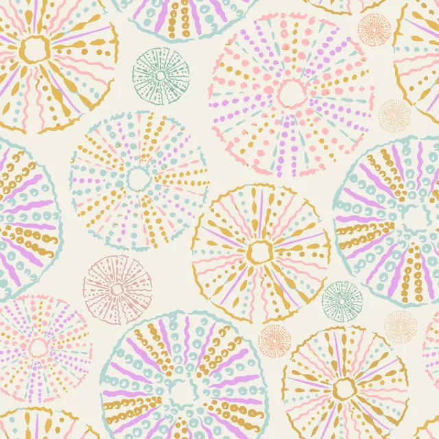 Sea Urchin Soft