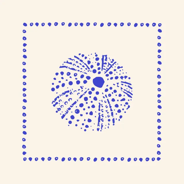 Kissen Seeigel blauweiss