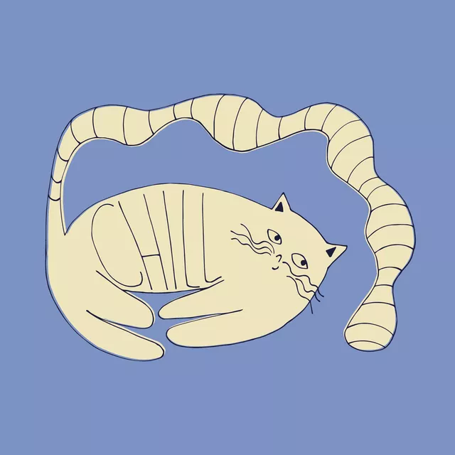 Kissen Chill Katze