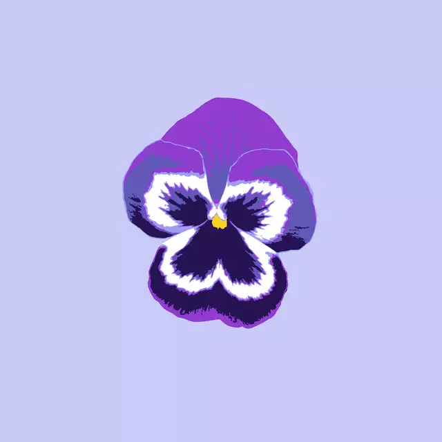 Servietten Viola Solo