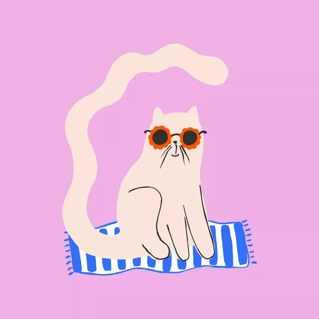 Kissen Katze am Strand