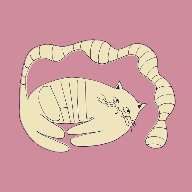 Kissen Chill Katze