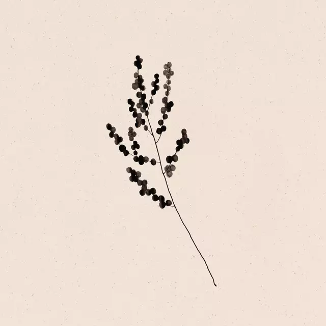 Kissen Berries