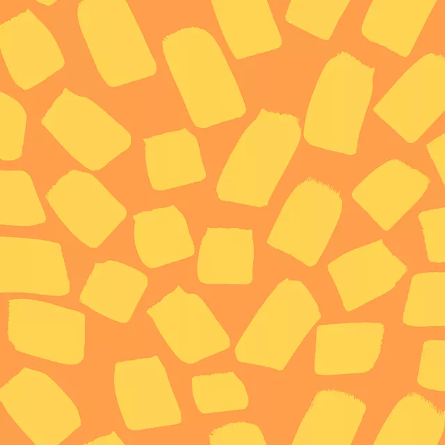 SUN TOUCH