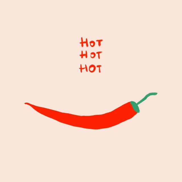 Kissen Summer Chili