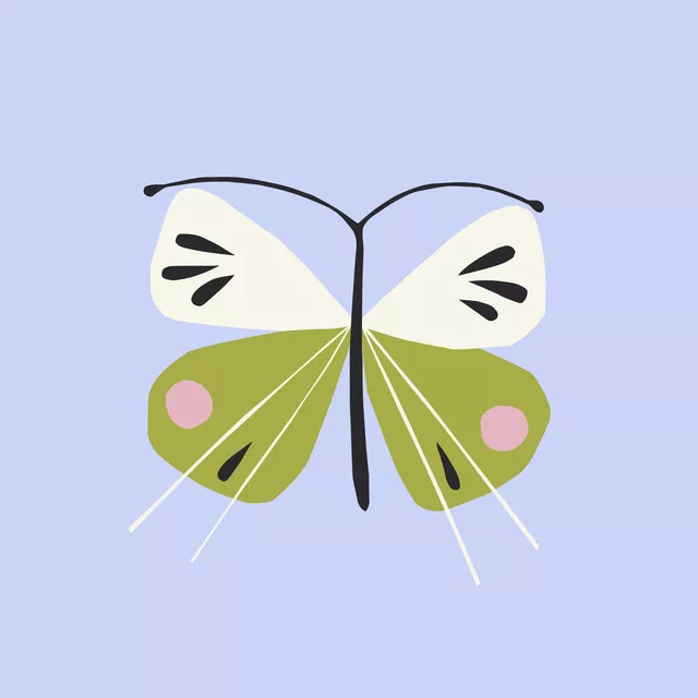 Schmetterling