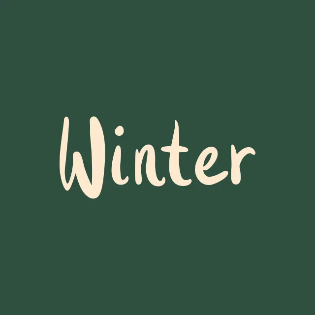 Kissen Winter