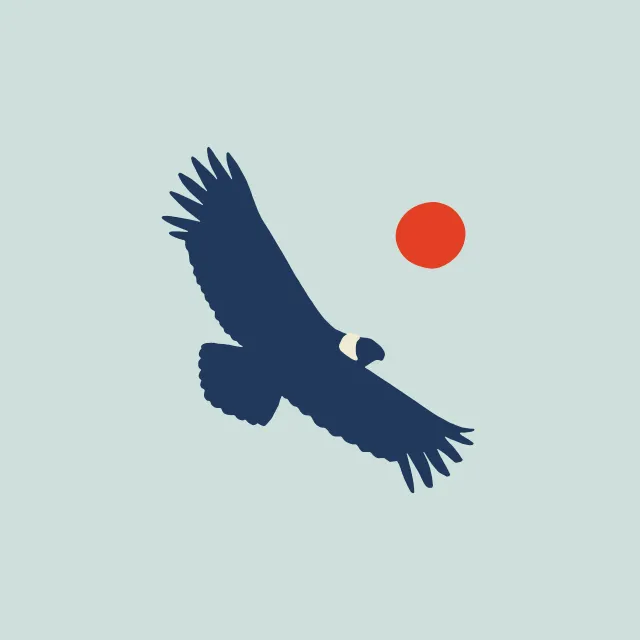 Kissen Mountain Condor