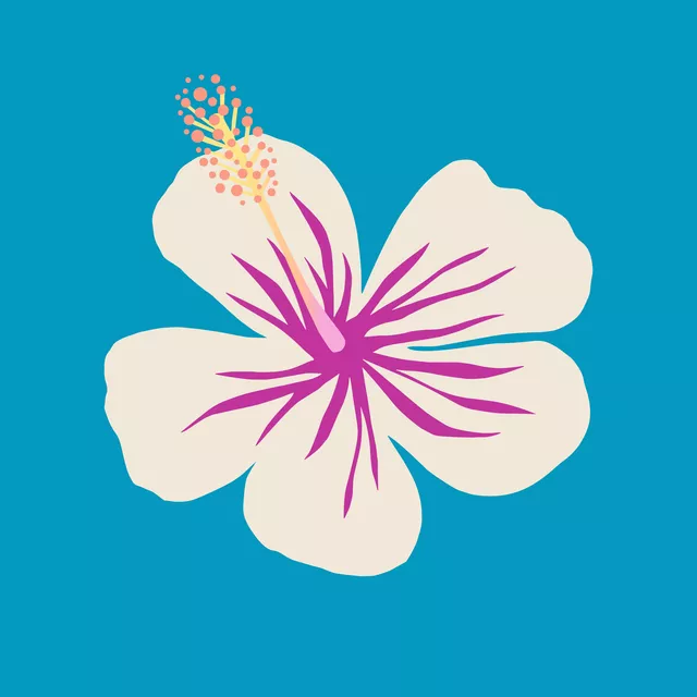 Geschirrtücher Hibiskus