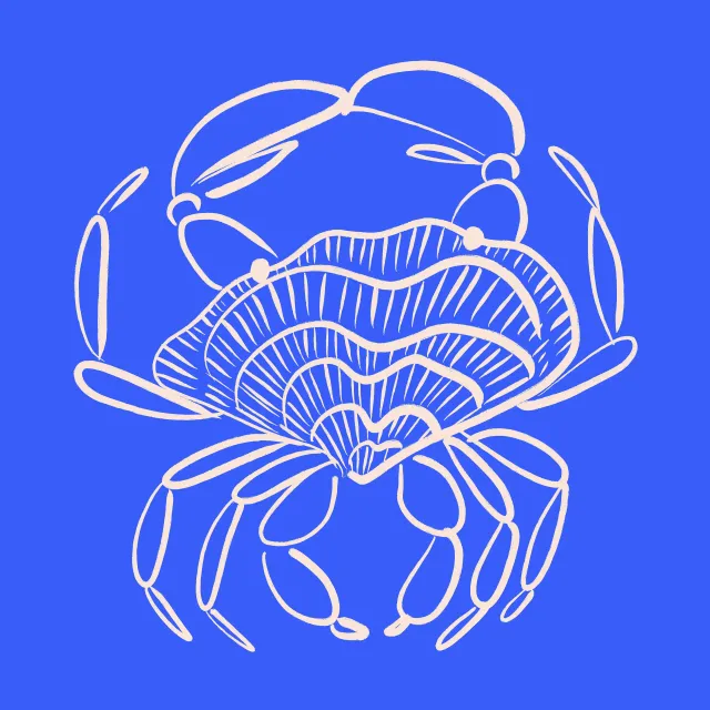 Kissen Summer Crab