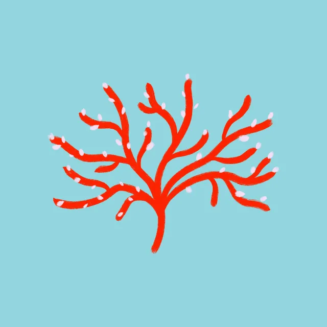 Kissen Summer Coral